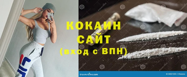 гидра Инта