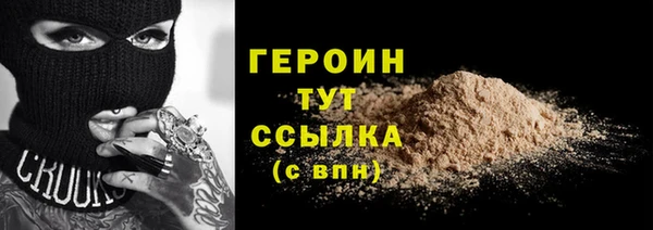 гидра Инта