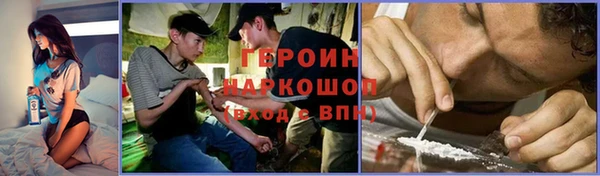 гидра Инта