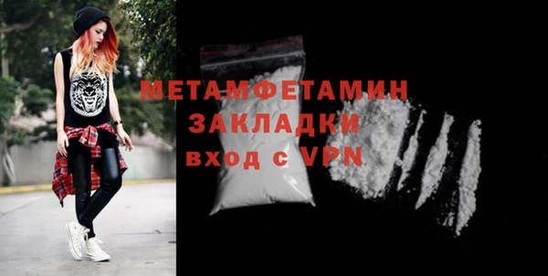 гидра Инта