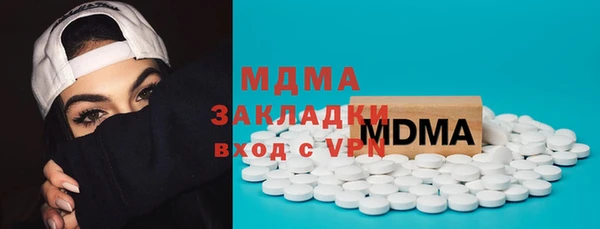 гидра Инта