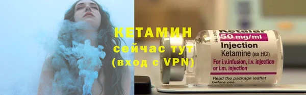 гидра Инта