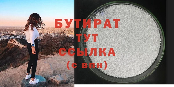 гидра Инта