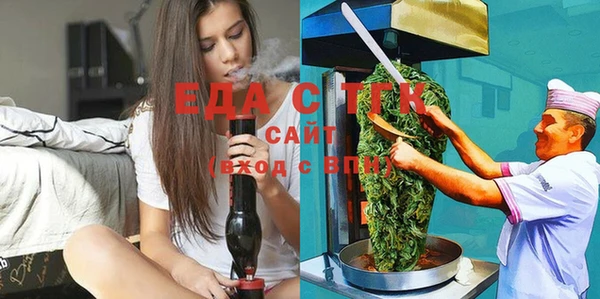 гидра Инта