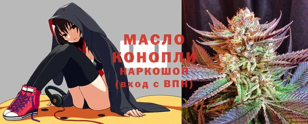 гидра Инта