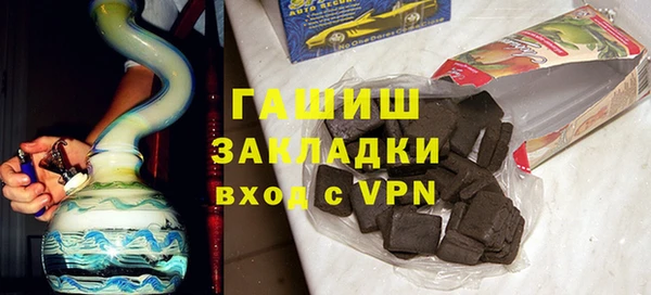 гидра Инта