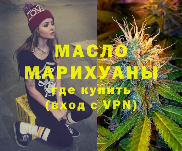 гидра Инта